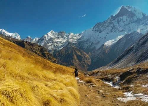 Annapurna-Base-Camp-Short-Trek