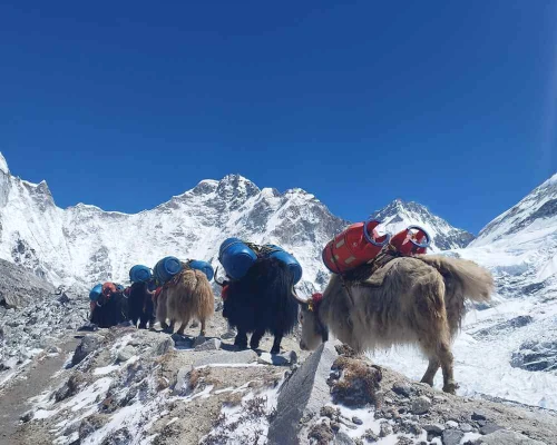 Everest Base Camp Trekking With Helicopter Return