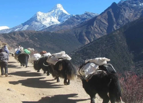 Slow-and-Easy-Trekking-Everest